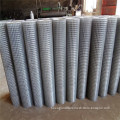 Galvanized Welded Wire Mesh